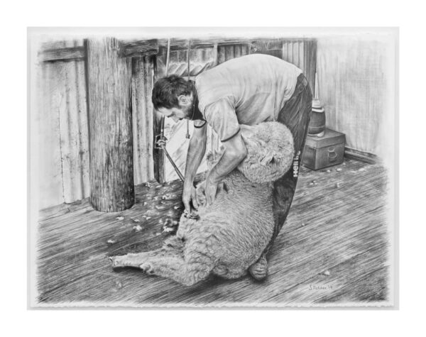 June Shearing