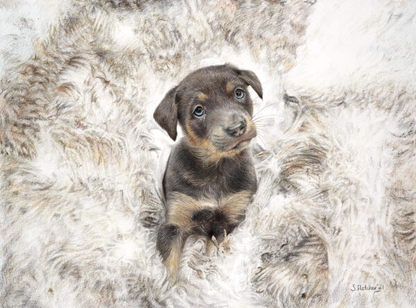 Innocence