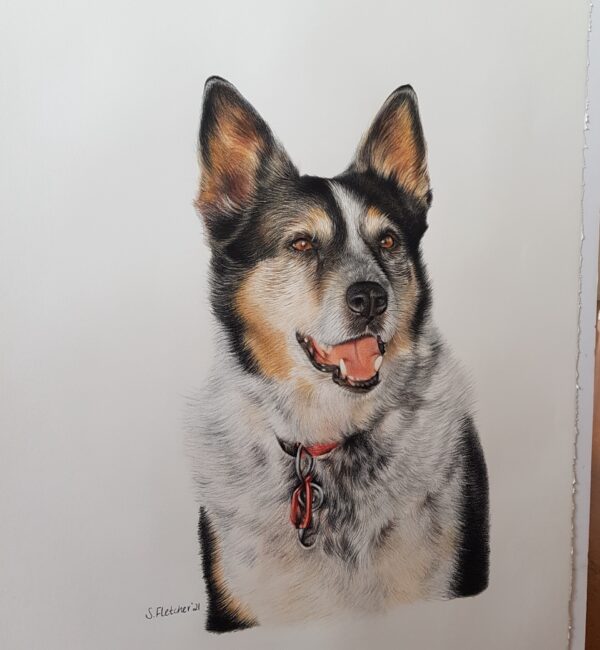 Otto