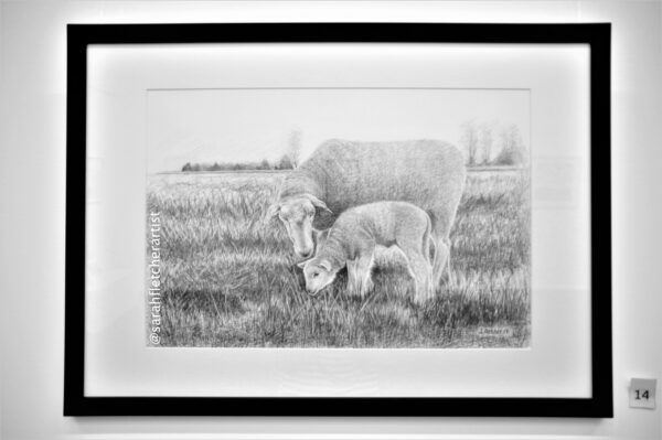Lambing Season - Image 2